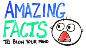 Amazing Facts to Blow Your Mind! 🤯